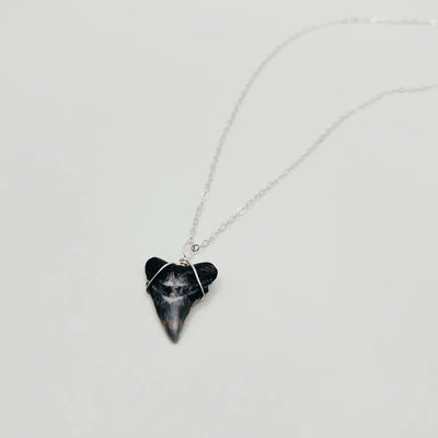 Dainty Shark Tooth Necklace - Sterling Silver