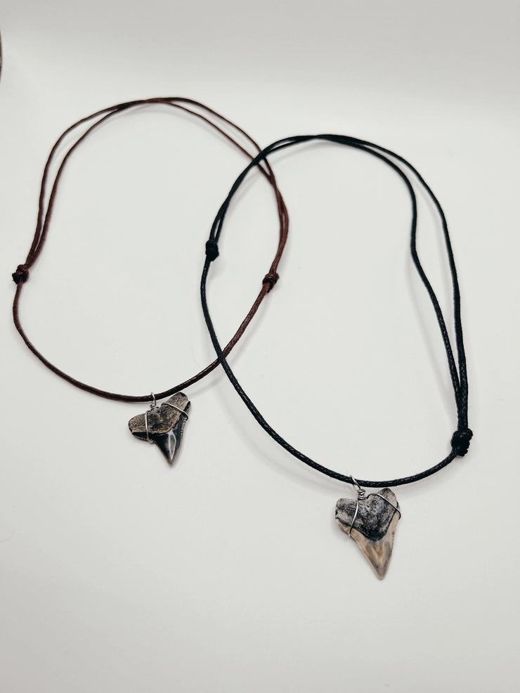 Unisex Shark Tooth Necklace