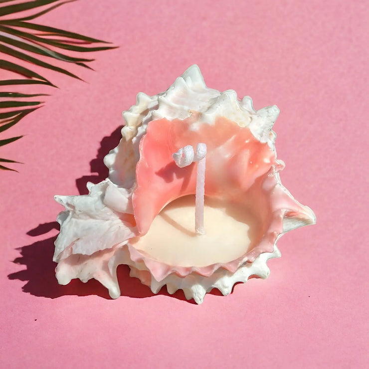 Pink Murex Shell Candle