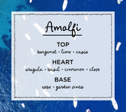 AMALFI - basil & arugula