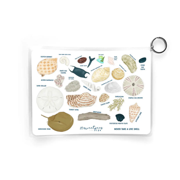 Seashell Guide, Waterproof Shell Reference, Beach Bag, Id