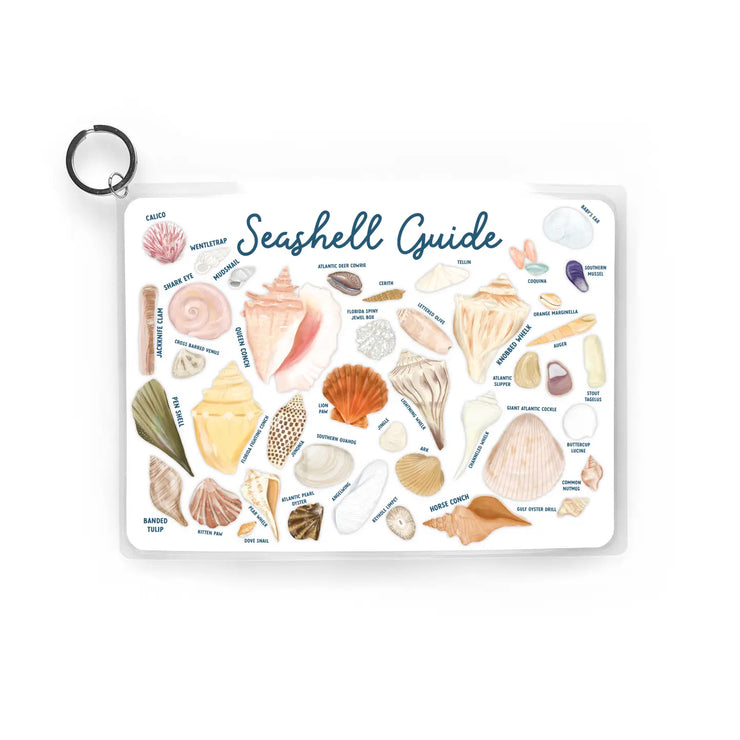 Shell Guide Washington Seashell Guide, Waterproof Shell Reference, Beach Bag, Id – Gypsy Life ...