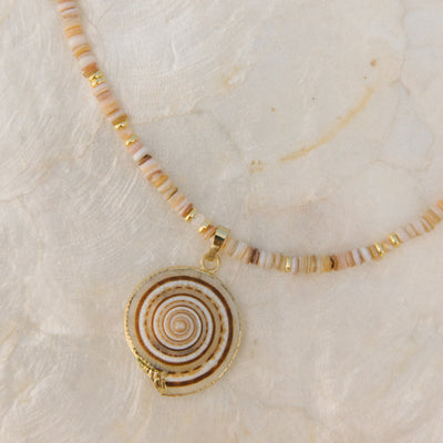 Sundial Shell Necklace