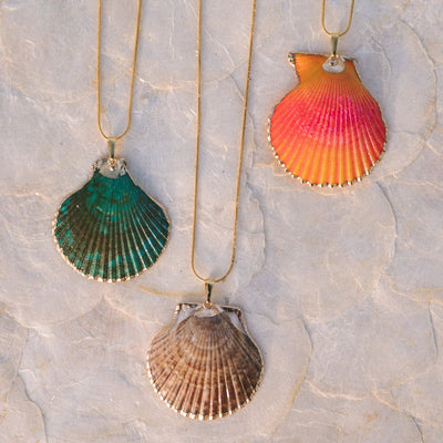 Scallop Shell Necklace - Assorted