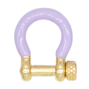 Extra Carabiner - Assorted