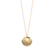 Gypsy Life Shell Necklace - Gold Scallop