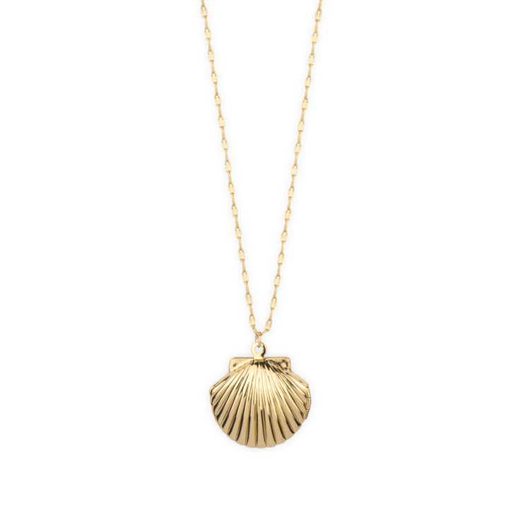 Gypsy Life Shell Necklace - Gold Scallop