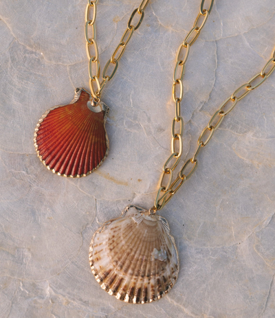 Scallop Shell Chain Necklace - Classic Shell