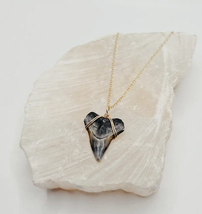 Dainty Shark Tooth Necklace - 24k Gold-Filled