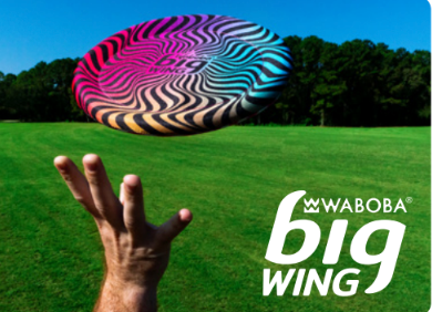 Big Wing Disc - Assorted