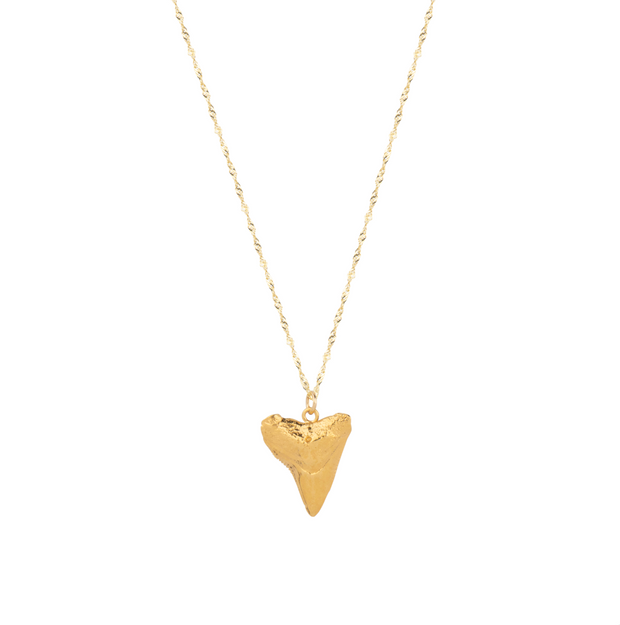 The Gypsy Shark Tooth Necklace - OG