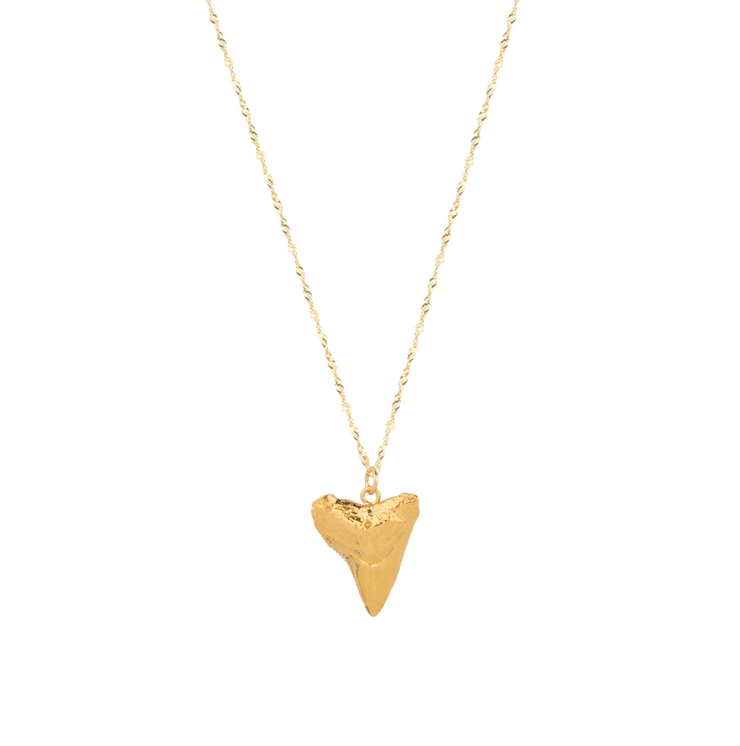 The Gypsy Shark Tooth Necklace - OG
