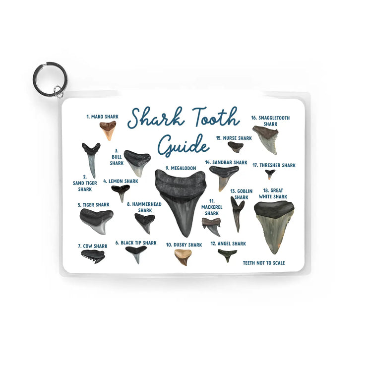 Shark Tooth Guide, Waterproof Reference, Beach Bag, Id