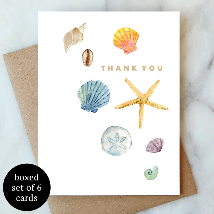 Shells Thank You Greeting Card - Box Set of 6