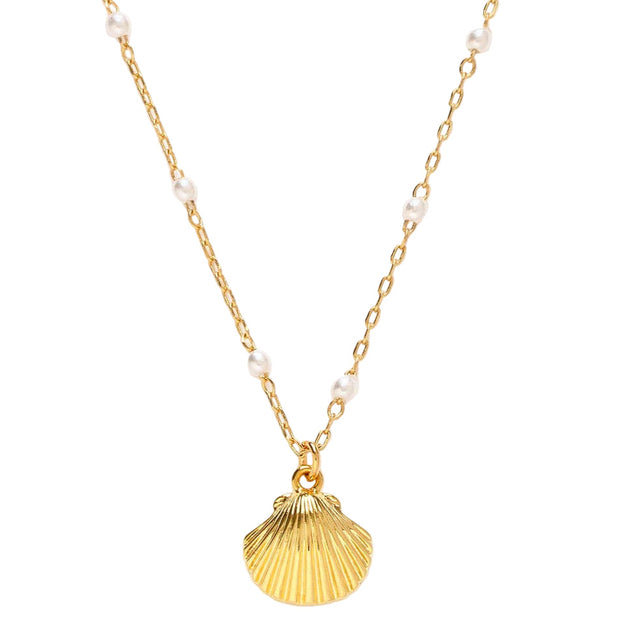 Scallop Shell and Pearl Station Chain Necklace