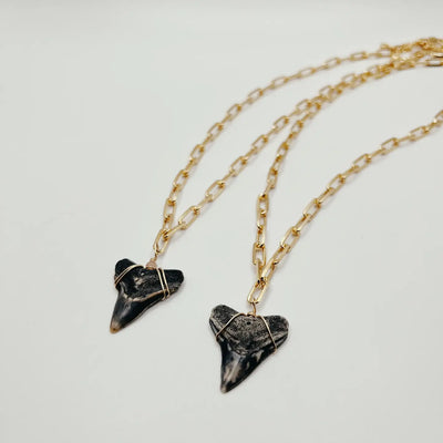 18k Gold Filled Paperclip Chain Shark Tooth Necklace