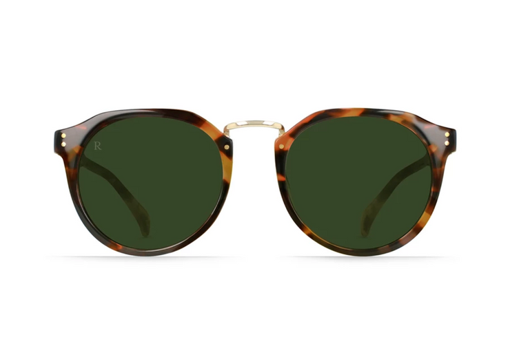 Remmy Alchemy Kola Tortoise/Bottle Green - Size 52