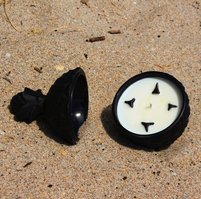 Lost in Tropics - Original Shark Tooth Candle