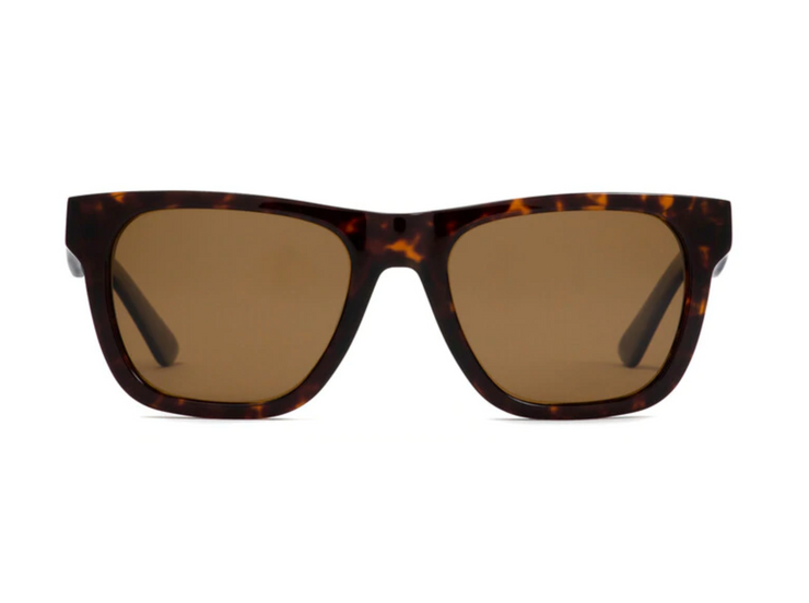 Panorama - Eco Havana / Brown Polar