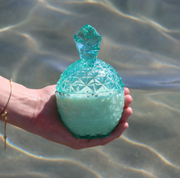 Lost In Tropics - Aqua