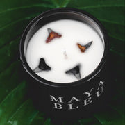 Original Shark Tooth Candle - Black