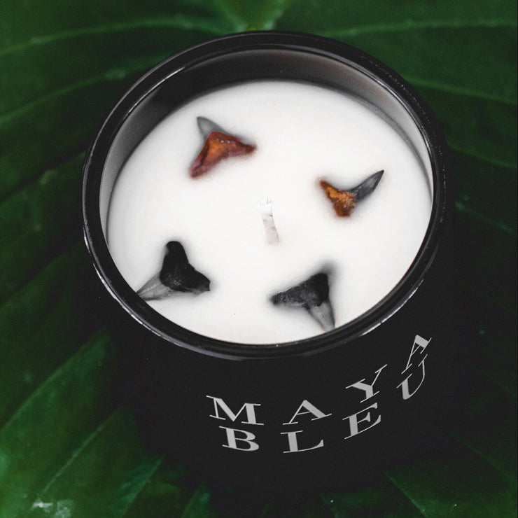 Original Shark Tooth Candle - Black