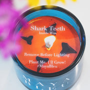 Original Shark Tooth Candle - Bleu